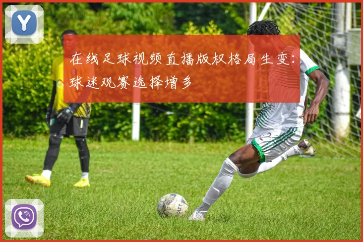 在线足球视频直播版权格局生变:球迷观赛选择增多